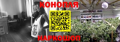 амф Шахты
