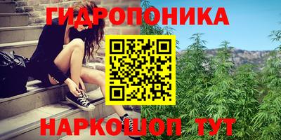 apvp Шелехов