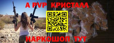 амф Шахты